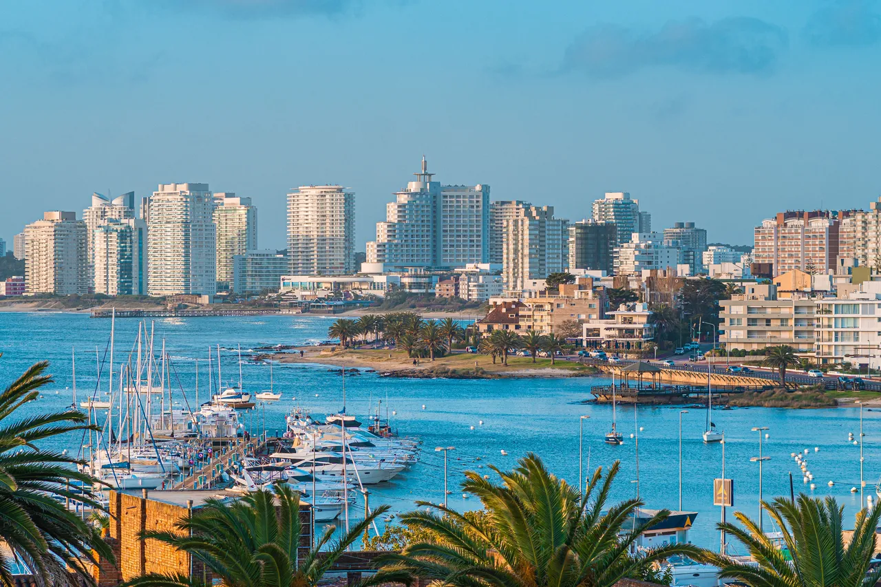 Puerto y skyline de edificios de la Península de Punta del Este, con veleros amarrados y palmeras en primer plano