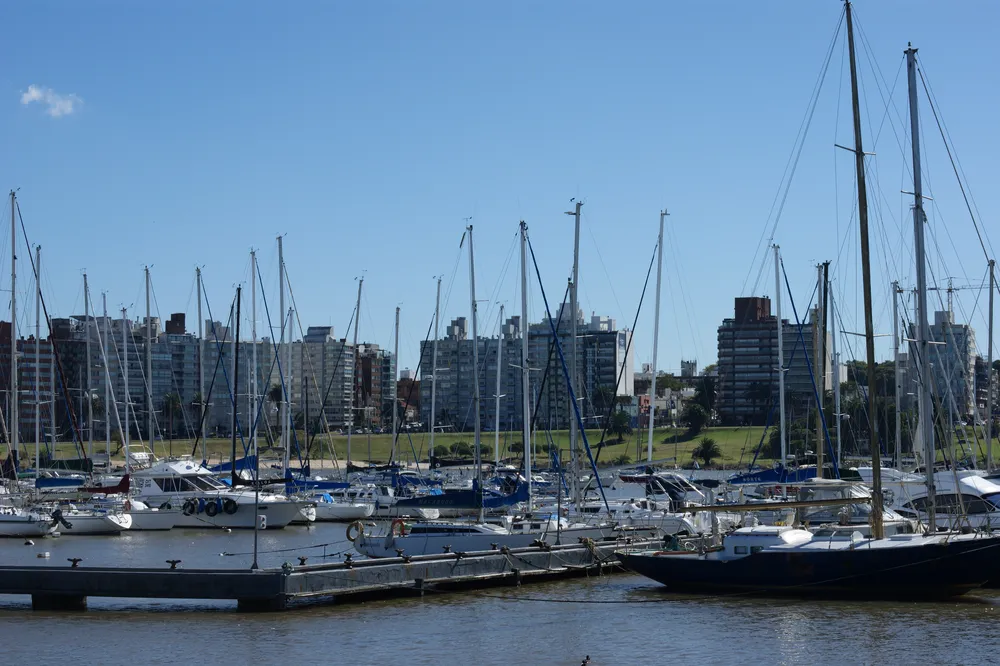 Veleros amarrados en el Puerto del Buceo, con los edificios de la zona de fondo