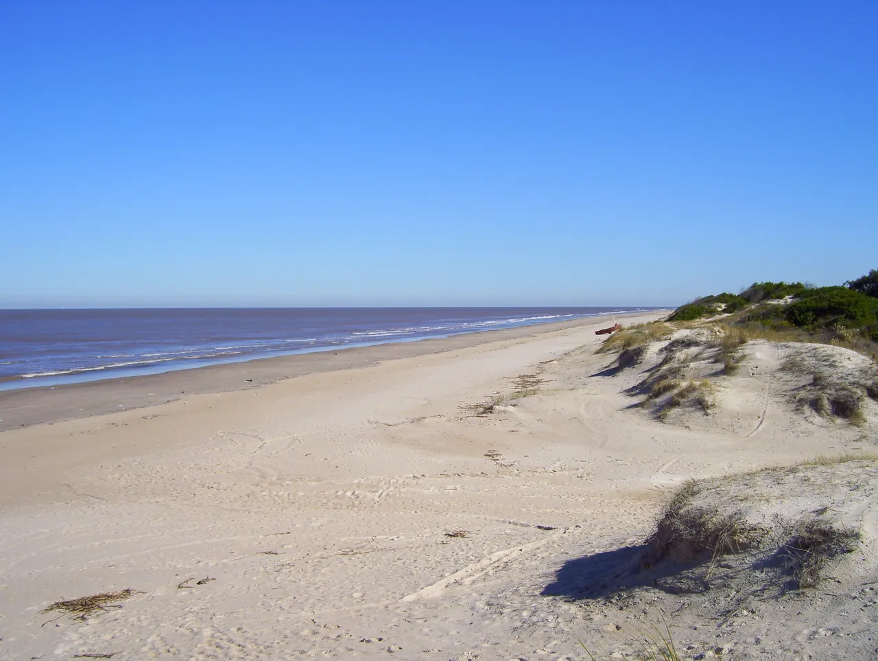 Playa de San José de Carrasco, tramo arbolado y tranquilo de dunas junto al Río de la Plata, Ciudad de la Costa