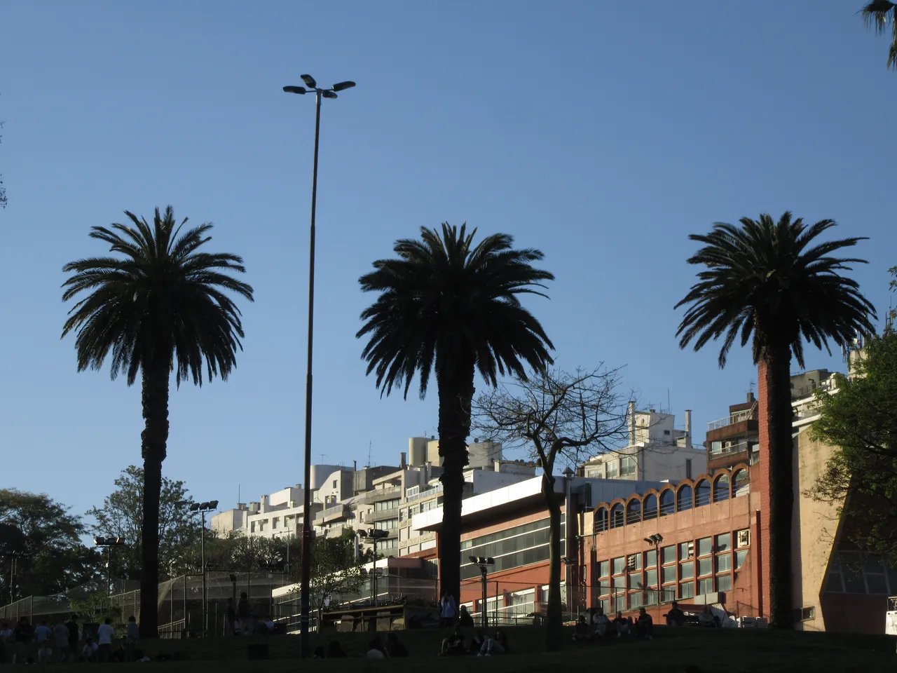 Parque Villa Biarritz con palmeras, canchas deportivas cercadas y edificios de la zona alrededor