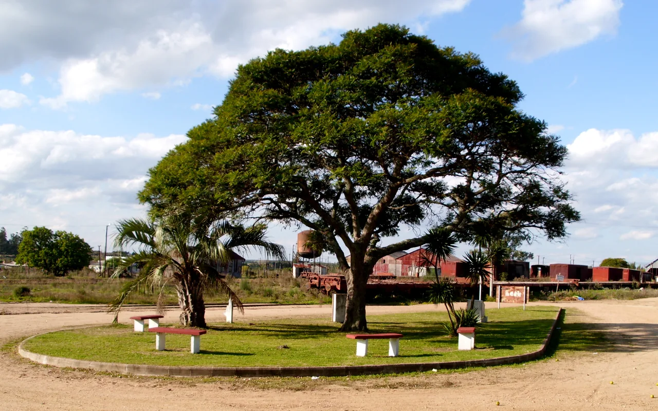 Plaza de tierra con un gran árbol y vagones de tren al fondo en Empalme Olmos, Canelones