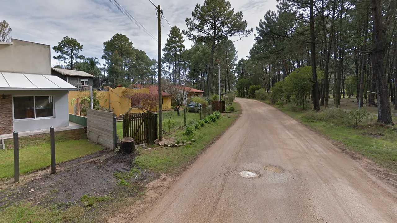 Calle de tierra entre pinos con casas de jardín en Los Ángeles, Piriápolis, Maldonado